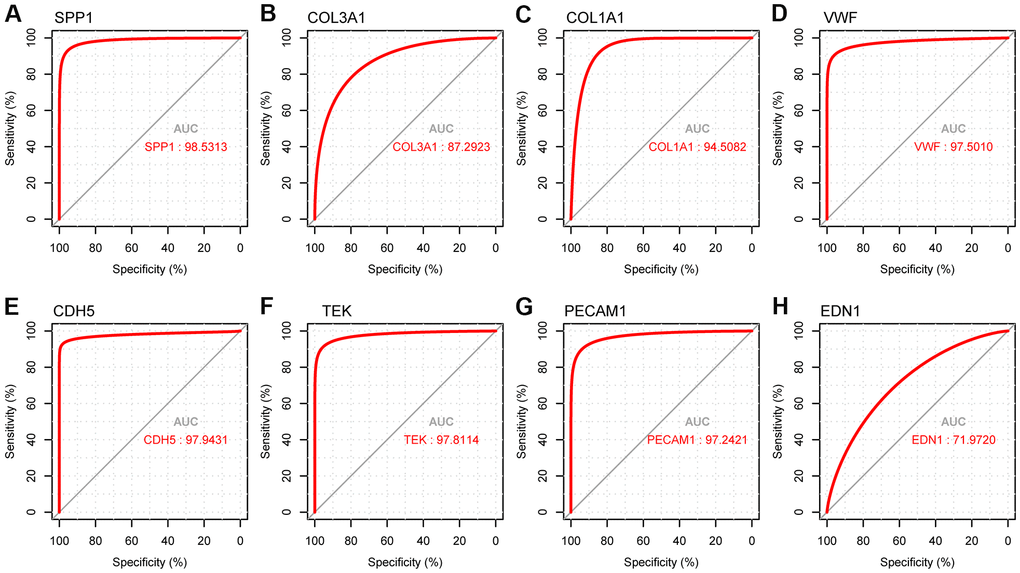 ROC curve analysis presenting the sensitivity and specificity of hub genes in LUAD diagnosis. (A) ROC curves of SPP1, (B) COL3A1, (C) COL1A1, (D) VWF, (E) CDH5, (F) TEK, (G) PECAM1, and (H) END1.