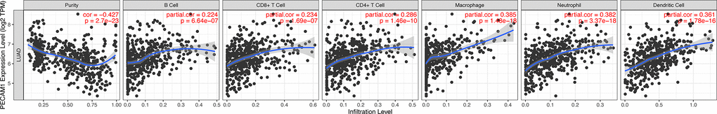 Correlation of PECAM1 expression with immune cell infiltration levels in LUAD. Tumor-infiltrating immune cells included B cells, CD4+ T cells, CD8+ T cells, neutrophils, macrophages, and DCs. Gene expression levels against tumor purity are displayed in the left-most panel.