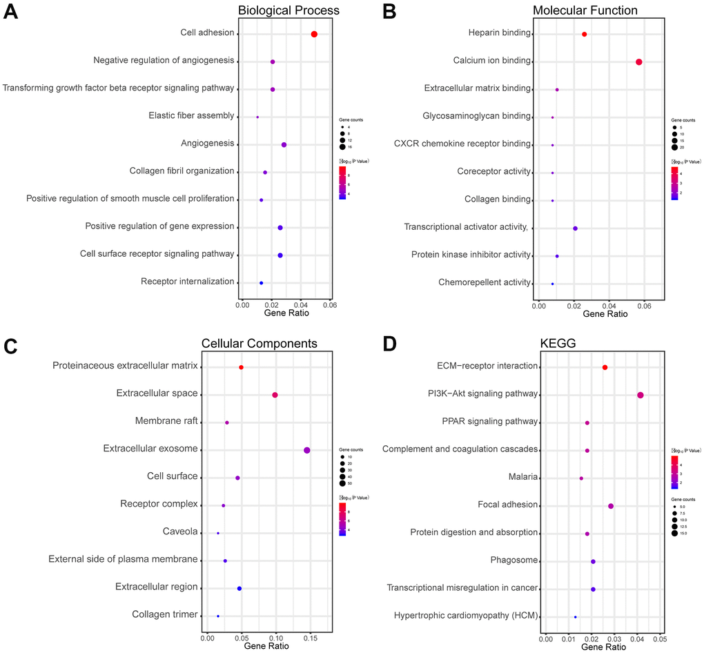 Functional and pathway enrichment analyses of the overlapping DEGs in LUAD. (A) The BP analysis of DEGs. (B) The MF analysis of DEGs. (C) The CC analysis of DEGs. (D) The KEGG pathway analyses of DEGs. The x-axis represents the q value (−log10), and the y-axis represents the GO term. The GO terms were measured by the rich factor, q value, and number of genes enriched. The greater the rich factor, the greater is the degree of enrichment and the greater the P value [0, 1]. The brighter the color of red, the more significant is the term.