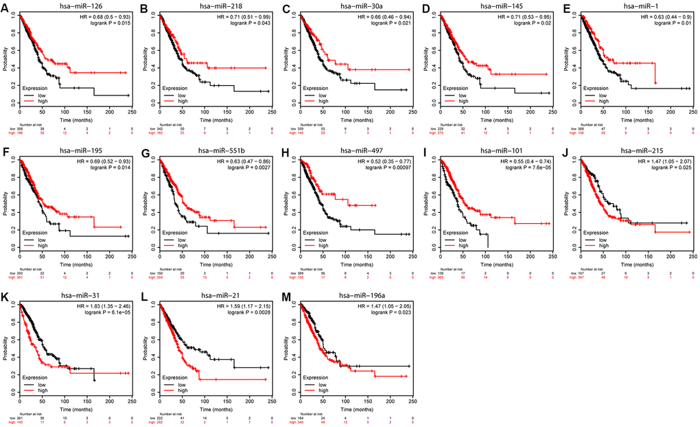 Overall survival analyses of DEMs. KM curves depicting OS for LUAD patients with high and low expression of (A) hsa-miR-126, (B) hsa-miR-218, (C) hsa-miR-30a, (D) hsa-miR-145, (E) hsa-miR-1, (F) hsa-miR-195, (G) hsa-miR-551b, (H) hsa-miR-497, (I) hsa-miR-101, (J) hsa-miR-215, (K) hsa-miR-31, (L) hsa-miR-21, and (M) hsa-miR-198a.