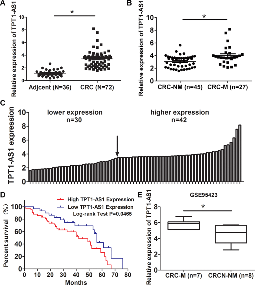 TPT1-AS1 is elevated in CRC tissues and its upregualtion predicts poor survival of CRC patients. (A) qRT-PCR detected TPT1-AS1 expression in 72 CRC and 36 adjacent normal tissues; (B) Expression of TPT1-AS1 was detected in metastatic CRC (CRC-M) and nonmetastatic tumor tissues (CRC-NM); (C) TPT1-AS1 expression in CRC patients was divided into high expression and low expression groups according to the median value; (D) The overall survival of CRC patients was evaluated by Kaplan-Meier analysis; (E) TPT1-AS1 expression was analyzed in metastatic CRC (CRC-M) and nonmetastatic tumor tissues from GEO data (GSE95423). *P