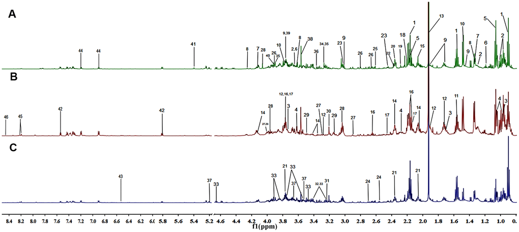 Representation of the 600 MHz 1H NMR spectra of the fecal samples collected from the negative control group (A), the aging group (B) and the constipation group (C). The assignments of 46 metabolites are given in Table 3.