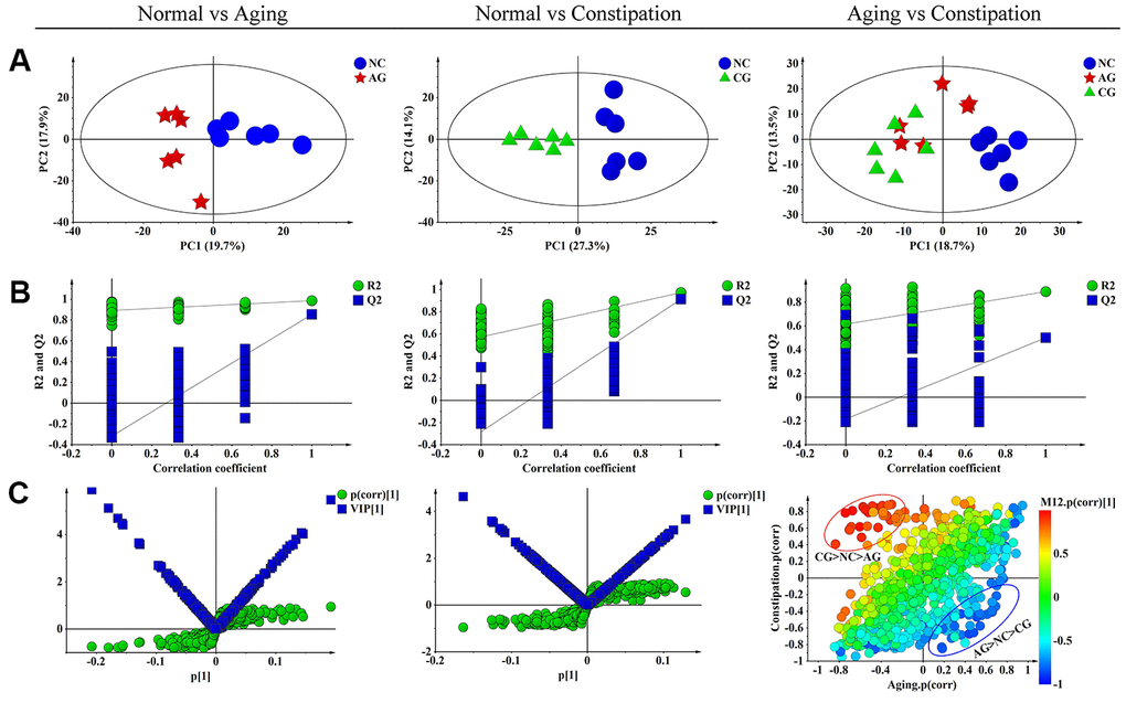 Multivariate data analysis of 1H NMR fecal extract spectra among the negative control group (NC), the aging model group (AG) and the constipation model group (CG). (A) PCA scores plot of fecal specimens based on NC (blue dots), AG (red boxes) and CG (green triangles). (B) Statistical validation of the corresponding PLS-DA model by permutation analysis (permutation No.: 200). R2 is the explained variance, and Q2 is the predictive ability of the model. (C) The corresponding S-plot and VIP value of fecal specimens in aging and constipation, as well as SUS-plot plots showing the discriminations between aging and constipation. PCA, principal component analysis; PLS-DA, partial least squares discriminant analysis; SUS-plot, shared-and-unique-structures plot.