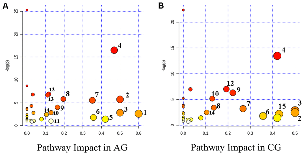 Summary diagram of the pathway analysis of the differential metabolites with MetPA in the aging group (AG) (A) and the constipation group (CG) (B). The size and the color of each circle were based on the pathway impact value and P-value, respectively. Metabolic pathways are as follows: 1, Synthesis and degradation of ketone bodies; 2, D-glutamine and D-glutamate metabolism; 3, Phenylalanine, tyrosine and tryptophan biosynthesis; 4, Alanine, aspartate and glutamate metabolism; 5, Starch and sucrose metabolism; 6, Phenylalanine metabolism; 7, Pyruvate metabolism; 8, Citrate cycle (TCA cycle); 9, Arginine and proline metabolism; 10, Glycolysis / Gluconeogenesis; 11, Inositol phosphate metabolism; 12, Arginine biosynthesis; 13, Butanoate metabolism; 14, Cysteine and methionine metabolism; 15, Taurine and hypotaurine metabolism.