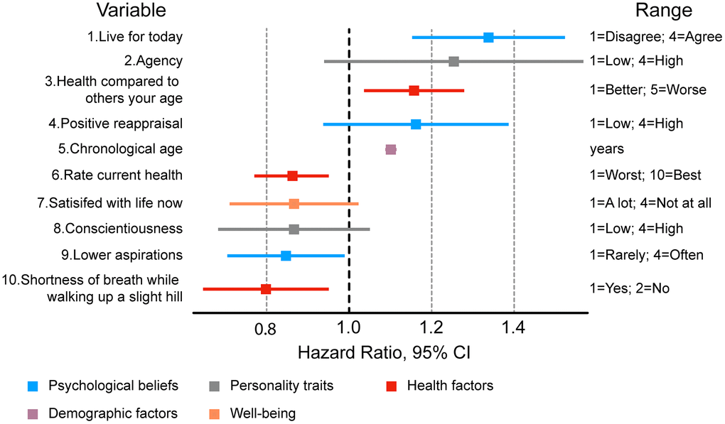 Ten most important features associated with mortality risk in a Cox regression adjusted for 49 psychosocial variables, sex, and chronological age. Most significant risk factors include variables describing personality traits and health status.