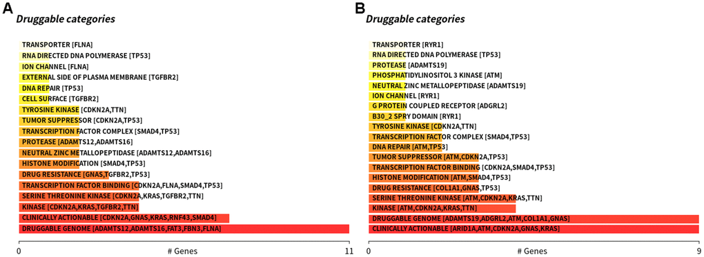 Differences in the types of drugs used between high-risk patients and low-risk patients. (A) The. high-risk patients, (B) The low-risk patients.