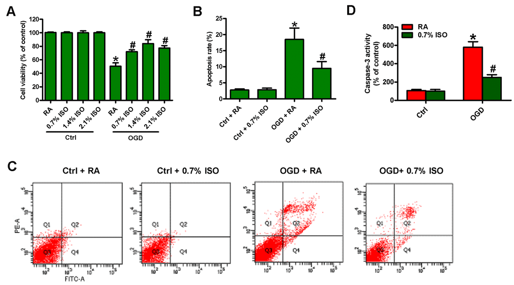 Dose-dependent effects of ISO on the viability and apoptosis of OGD-treated microglial cells in co-cultures. Co-cultures with or without 3h-OGD stimulation were exposed to RA with or without ISO (0.7%, 1.4%, and 2.1%) for 30 min. After co-cultures were continuously cultured for 24 h under normal conditions, microglial cells were collected for further analyses. (A) MTT assay shows microglial cell viability. (B) Quantification of apoptotic microglial cells under the indicated treatments by Flow cytometry. (C) Flow cytometric analysis showing percentage of Annexin V+ PI+ apoptotic microglial cells under the indicated treatments. (D) Quantitative analysis of caspase-3 activity. Representative data are from three independent experiments and expressed as mean ± SD. Statistical significance: *P #P 
