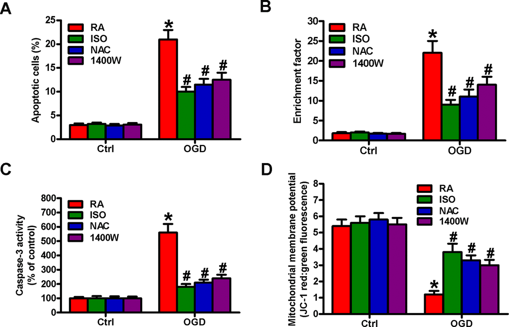 Sub-anesthetic ISO post-conditioning hampers ROS- or NO-mediated OGD-exposed microglial cell apoptosis in co-cultures. Co-cultures with or without NAC (5 mM) or 1400 W (50 μM) pretreatment for 30 min were stimulated with OGD or Ctrl for 3 h and subsequently exposed to RA with or without 0.7% ISO for 30 min. All the cells were continuously cultured under normal conditions for 24 h after OGD stimulation. Then, microglial cells were collected for further analyses. (A) Flow cytometry analysis of microglial cell apoptosis. (B) The nucleosomal fragmentation assay for assessing microglia apoptosis. (C) Quantitative analysis of caspase-3 activity. (D) Flow cytometry analysis of JC-1 stained microglial cells. Representative data are from three independent experiments and expressed as mean ± SD. Statistical significance: *P #P 