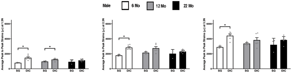 Strains captured by Digital Image Correlation (DIC) and Strain Gage in male ulnae (*p