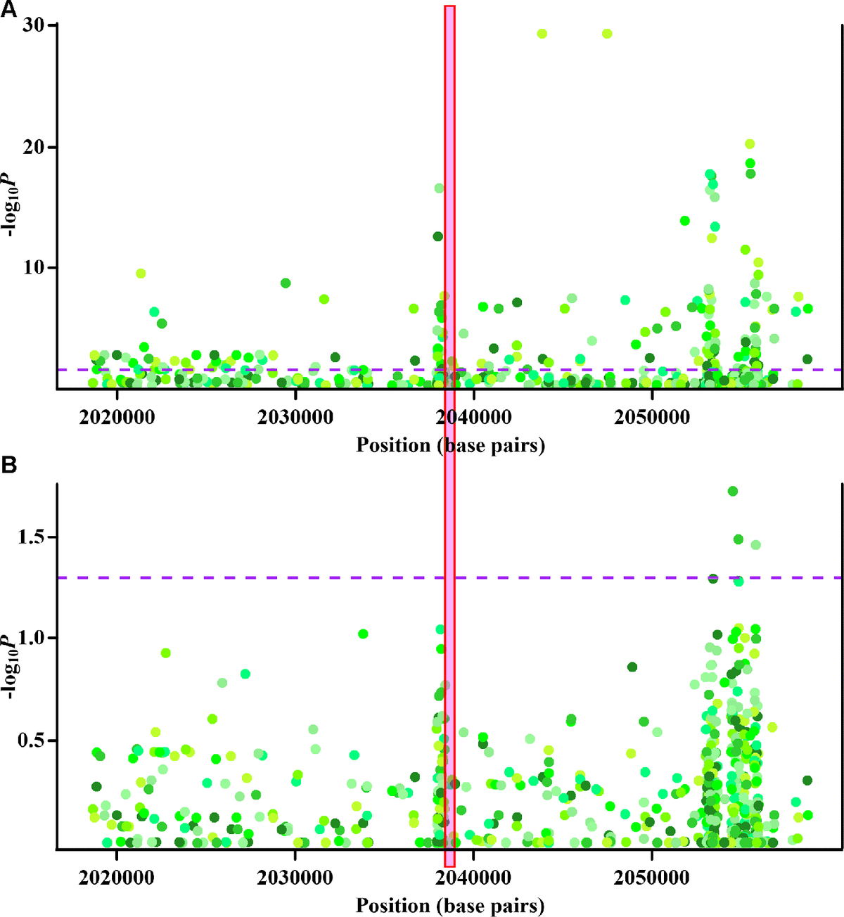 Cis-methyl-quantitative trait locus (cis-meQTL) and genetic analysis of cg22626579. (A) Regional association plots of monocyte-specific associations between nearby genetic variants and cg22626579 methylation. X-axis represents positions on respective chromosome. Y axis represents minus log10P of monocyte-specific associations between genetic variants and cg22626579 methylation. (B) Regional association plots of monocyte-specific associations between nearby genetic variants and gout. X-axis represents positions on respective chromosome. Y axis represents minus log10P of monocyte-specific associations between genetic variants and gout. Every point is one genetic variant colored with respective hue, with different colors implying different genetic variants. The dashed purple lines indicate the significance threshold (P = 0.05), and the red box highlights the location of cg22626579. Monocyte-specific associations of genetic variants with cg22626579 methylation and gout are analysed using multiple regression analysis, adjusting for sex, age, alcohol drinking, smoking status, smoking history (total pack-years) and cell fractions (see supplementary methods).