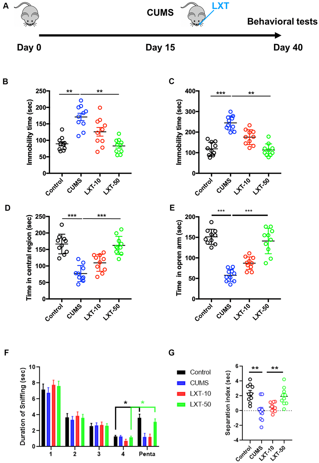 Intranasal treatment of LXT reserved CUMS induced emotional and olfactory dysfunctions. (A) Schematic picture to show the experimental process. Mice were performed with CUMS protocol and conducted with the intranasal administration of the LXT. (B, C) Immobility time of the mice to show the antidepressant behaviors in FST and TST. (D) Time of the mice to spend in center area of the region in open field test. (E) Time of mouse to spend in open arm in elevated plus maze test. (F, G) Duration of the sniff and the separation index (sniff duration of pentanol) of mice in olfactory discrimination test.