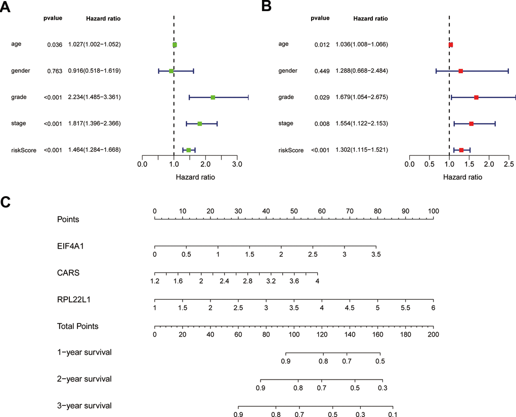 Results of Cox regression for risk factors for ccRCC and construction of nomograms. (A) Result of univariate Cox regression. (B) Result of multivariate Cox regression. (C) The nomograms for overall survival.