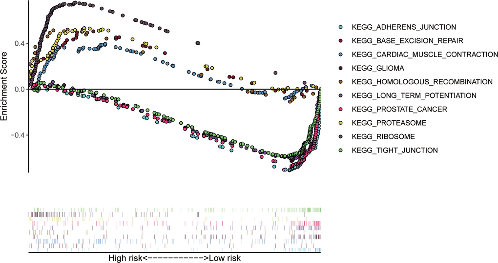 The top 10 significant enriched KEGG pathways in the training group.