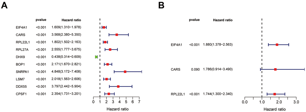 Identification of prognosis related hub RBPs. (A) Significance and Hazard ratio values of differentially expressed RBPs in univariate Cox regression. (B) Identification of prognosis related hub RBPs using multivariate Cox regression analysis.