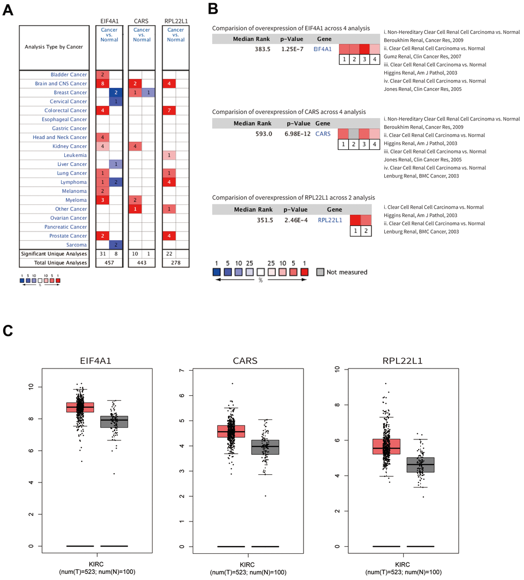 The mRNA expression profiles of hub genes. (A) The expression levels among different cancers. (B) The expression levels of the hub genes based on the published research. (C) The mRNA expression of hub genes in normal renal tissue and ccRCC.