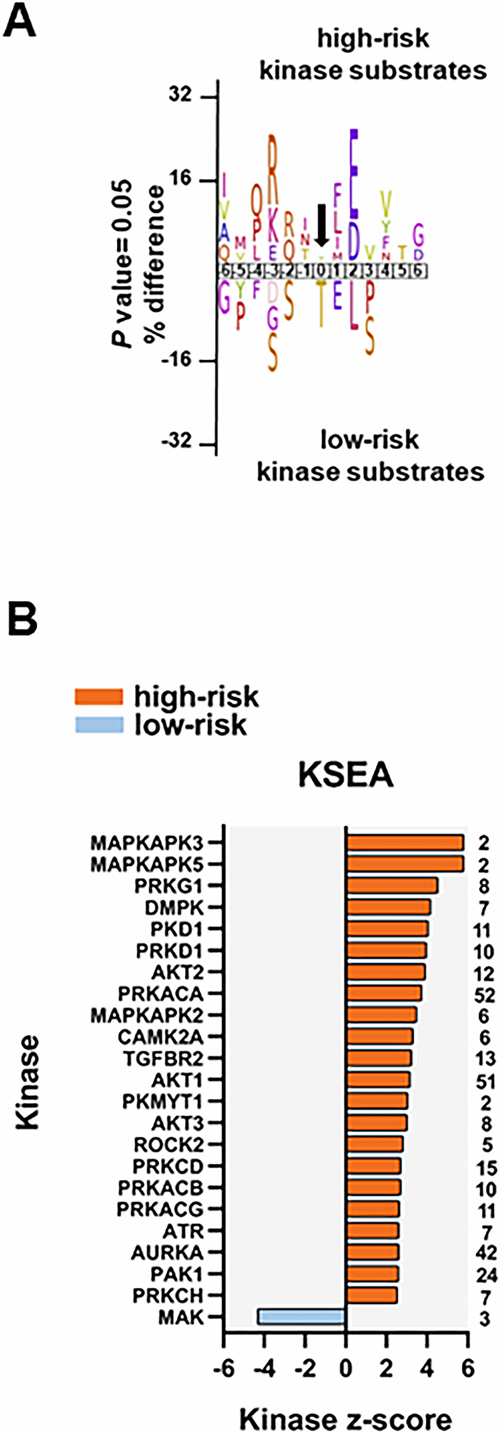 Kinase prediction analysis of the high-risk vs low-risk phosphoproteome. (A) Sequence motif analysis of the ± six amino acids flanking the differentially regulated phosphorylation sites for either group. (B) KSEA of differentially regulated and unregulated phosphorylation sites. The kinase z-score (x-axis) is the normalized score for each kinase (y-axis), weighted by the number of identified substrates indicated on the right side of the plot. Significant predicted kinases with FDR 