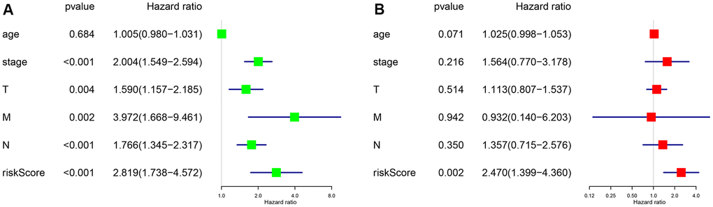 P  (A) Univariate analysis of risk scores and clinical traits in female lung adenocarcinoma samples from TCGA database. (B) Multivariate analysis of risk scores and clinical traits in female lung adenocarcinoma samples from TCGA database.