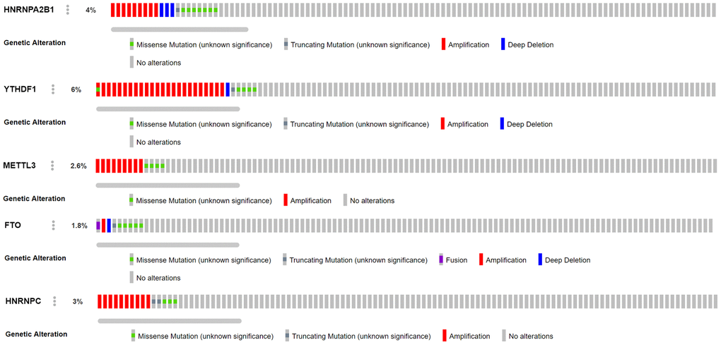 Analysis of CNV mutations in 5 M6A-related genes in lung adenocarcinoma data of cBioportal platform. Red represents an amplification in the number of copies, blue represents a deletion in the number of copies, green represents missense mutation, and gray represents truncating mutation.