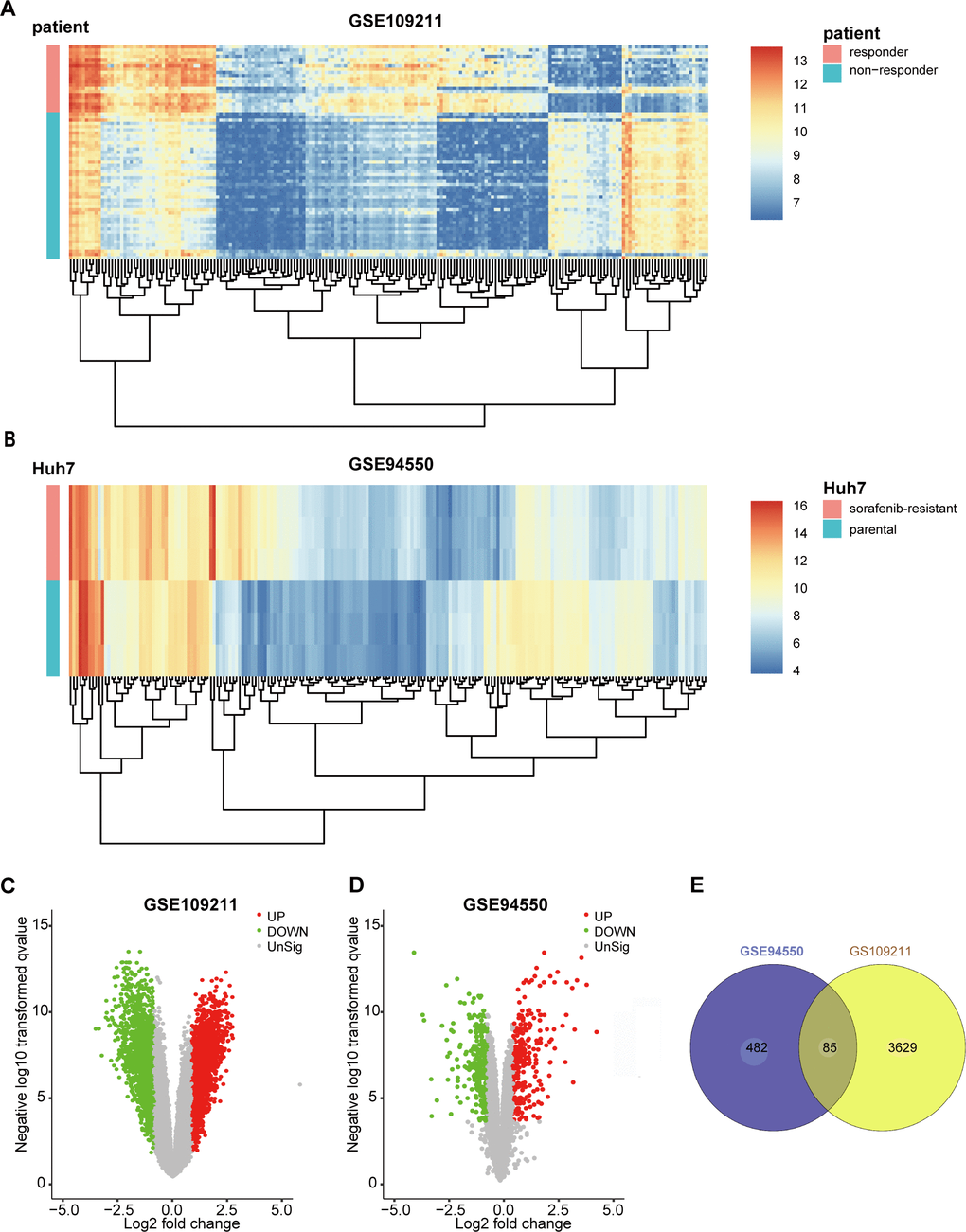 Identification of DEGs in sorafenib-treated HCC. To screen the genes associated with resistance or response of sorafenib (|log2FoldChange| ≥1 and FDR A) Heatmap plot of the top 200 DEGs of GSE109211. (B) Heatmap plot of the top 200 DEGs of GSE94550. (C, D) Volcano plot of the DEGs of GSE109211 and GSE94550, in which red stands for upregulations, green stands for downregulations, and black stands for normal expression. Each point represents a gene. (E) The overlap unified among the 2 datasets contained 85 DEGs was shown by Venn diagram. DEGs, differentially expressed genes.