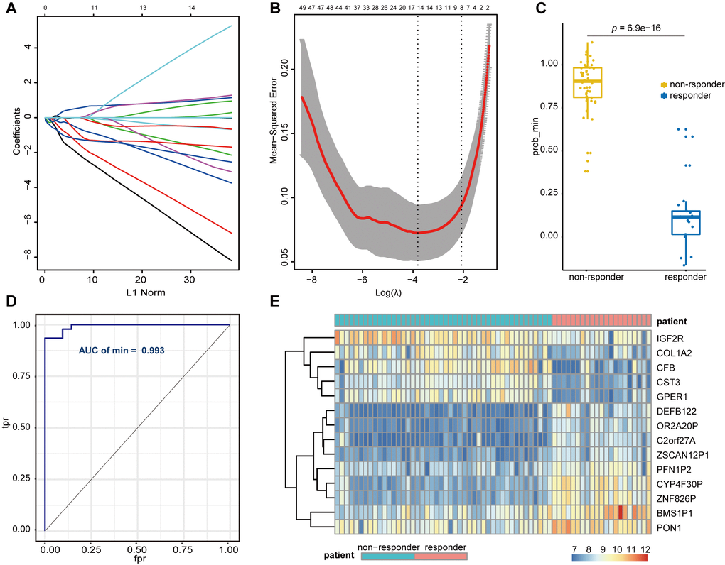 Lasso regression establishment and validation in GSE109211. (A) LASSO coefficient profiles of the genes associated with the sorafenib resistance in HCC patients. (B) The mean-squared error was plotted versus log (lambda). The two dashed lines indicate two special lambda values, one is lambda.min and the other is lambda.1se, and the lambda between the two values is considered appropriate. We finally chose lambda.min, because it’s the value of Lambda that gives a minimum mean cross-validated error. (C) Wilcoxon Signed Rank Test was performed to compare the sorafenib non-responder and responder. (D) ROC curves for the performance of the Lasso regression model in predicting sorafenib resistance in HCC patients. (E) Heatmap of differentially expressed genes that were enrolled in the Lasso regression model. LASSO, Least absolute shrinkage and selection operator; HCC, Hepatocellular Carcinoma; ROC, Receiver Operating Characteristic; tpr, true-positive rates; fpr, false-positive rates.