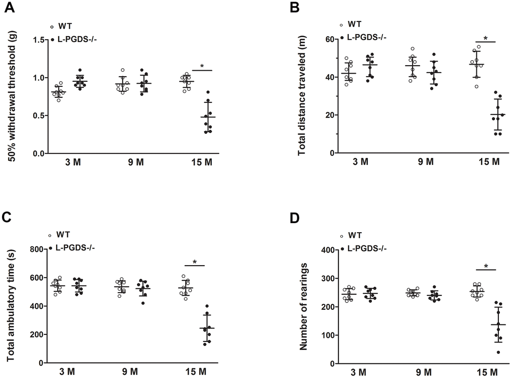 Pain-related behaviours during aging in WT and L-PGDS-/- mice. (A) Mechanical allodynia (50% paw withdrawal threshold (PWT)) in WT and L-PGDS-/- mice at 3, 9 and 15 months (n = 8 mice/genotype/time point) of age. Total distance travelled (B), ambulatory time (C) and number of rears (D) during 1 h testing period. Data are presented as mean ± SD. *p