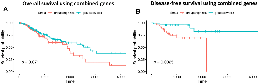 Prognostic ability of neoantigen-related gene signatures in COAD. (A) Overall survival. (B) Disease-free survival. Time is expressed as days in the graphs’ x-axis.