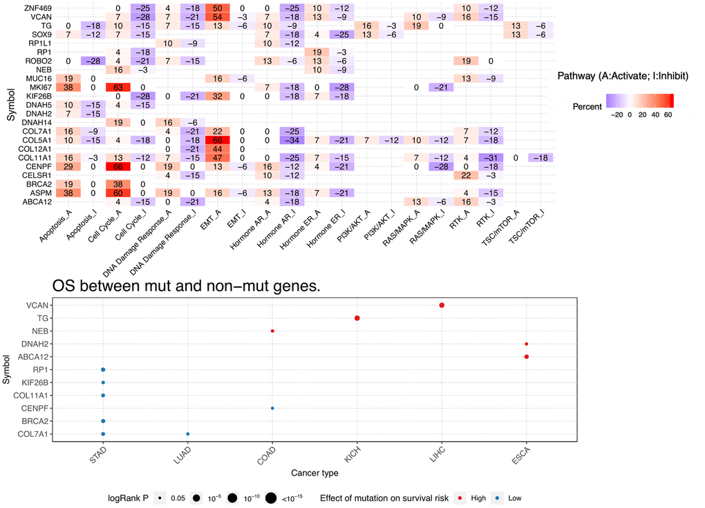 Pathway activity and mutation survival analysis. Top: Inferred activity of the identified host genes in biological pathways. Red and blue represent percent activation or inhibition. Bottom: Relationship between mutations in identified DEGs and survival prognosis for selected cancers.