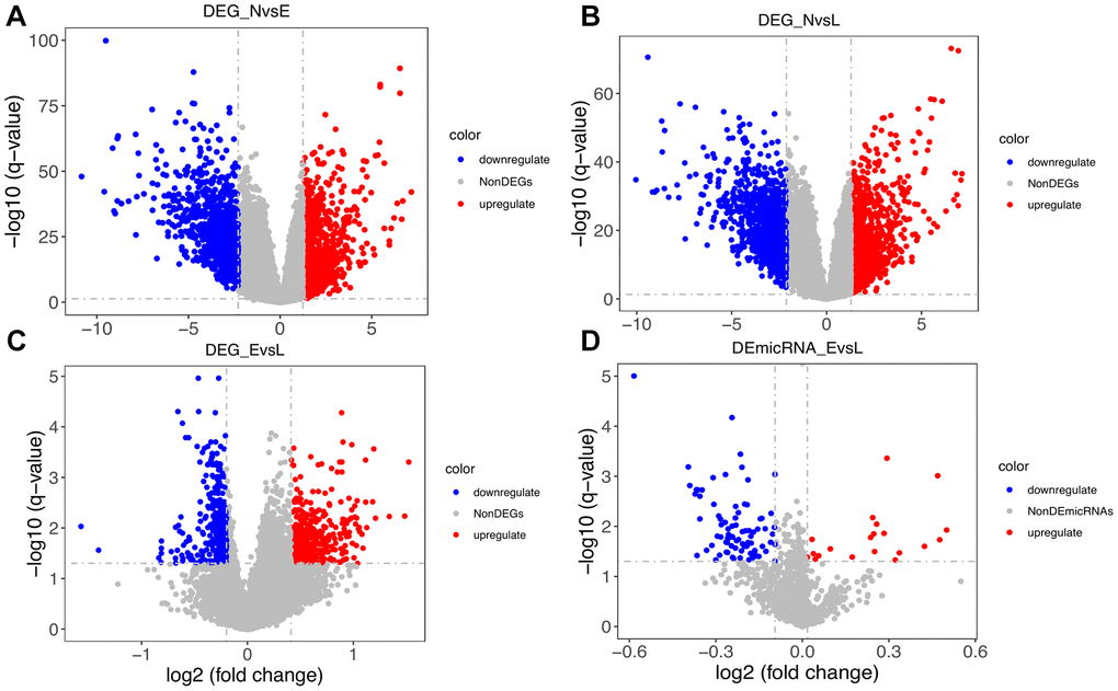 Distribution of differentially expressed genes. (A) Distribution of DEGs between normal (N) and early-stage (E) samples. (B) Distribution of DEGs between N and late-stage (L) samples. (C) Distribution of DEGs between E and L samples. (D) Distribution of differentially expressed microRNAs between E and L samples.