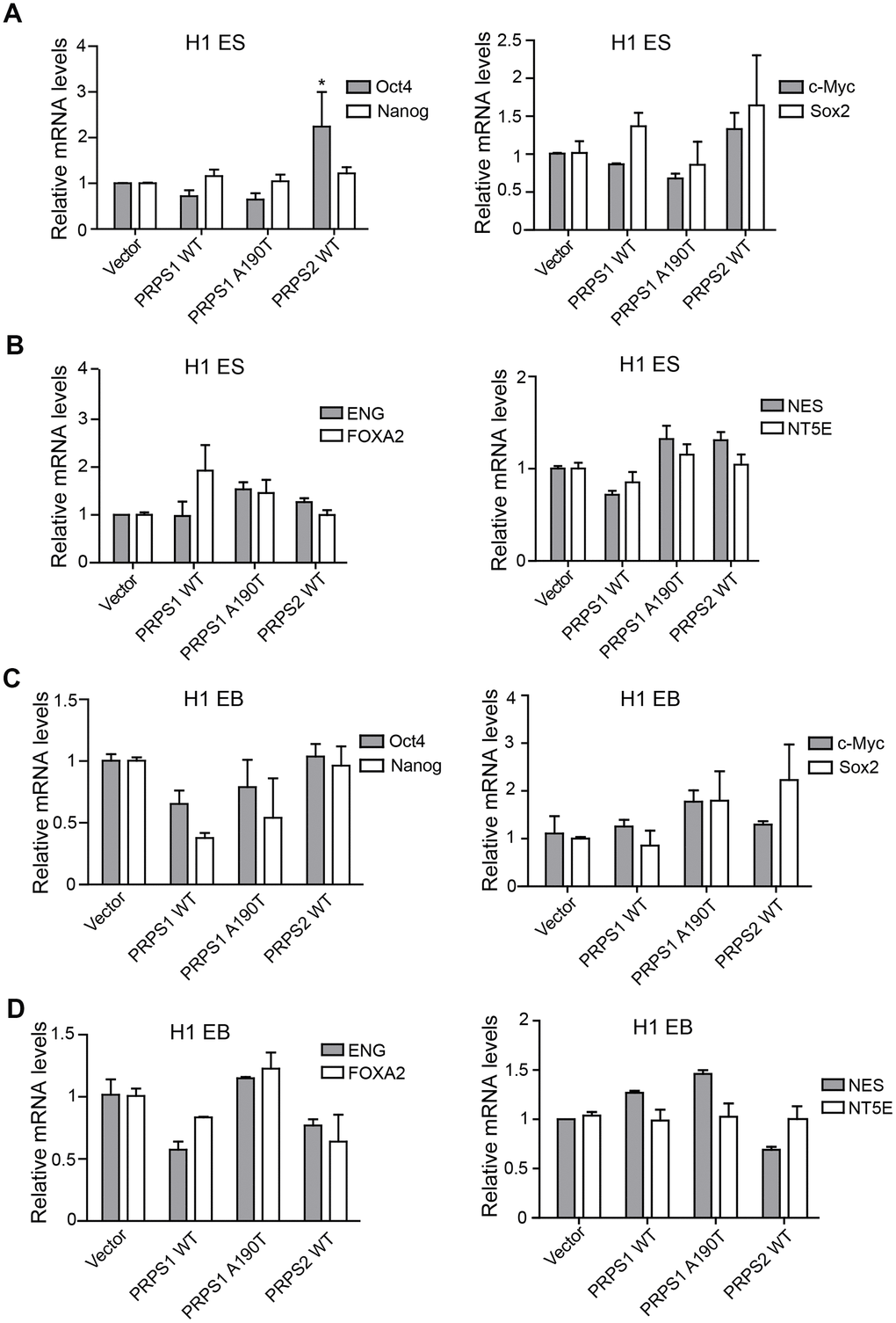 PRPS1/PRPS2 overexpression has no effect on PSCs stemness. (A, C) qRT-PCR analysis of expression levels of pluripotency genes, Oct4, Nanog, c-Myc, and Sox2, in PSCs (CB iPSCs) (A) and EB (embryoid bodies) (C). *PB, D) qRT-PCR analysis of expression levels of triploblastic genes, ENG, FOXA2, NES, and NT5E, in PSCs (B) and EB (embryoid bodies) (D) Data are representative of three independent experiments with similar results.
