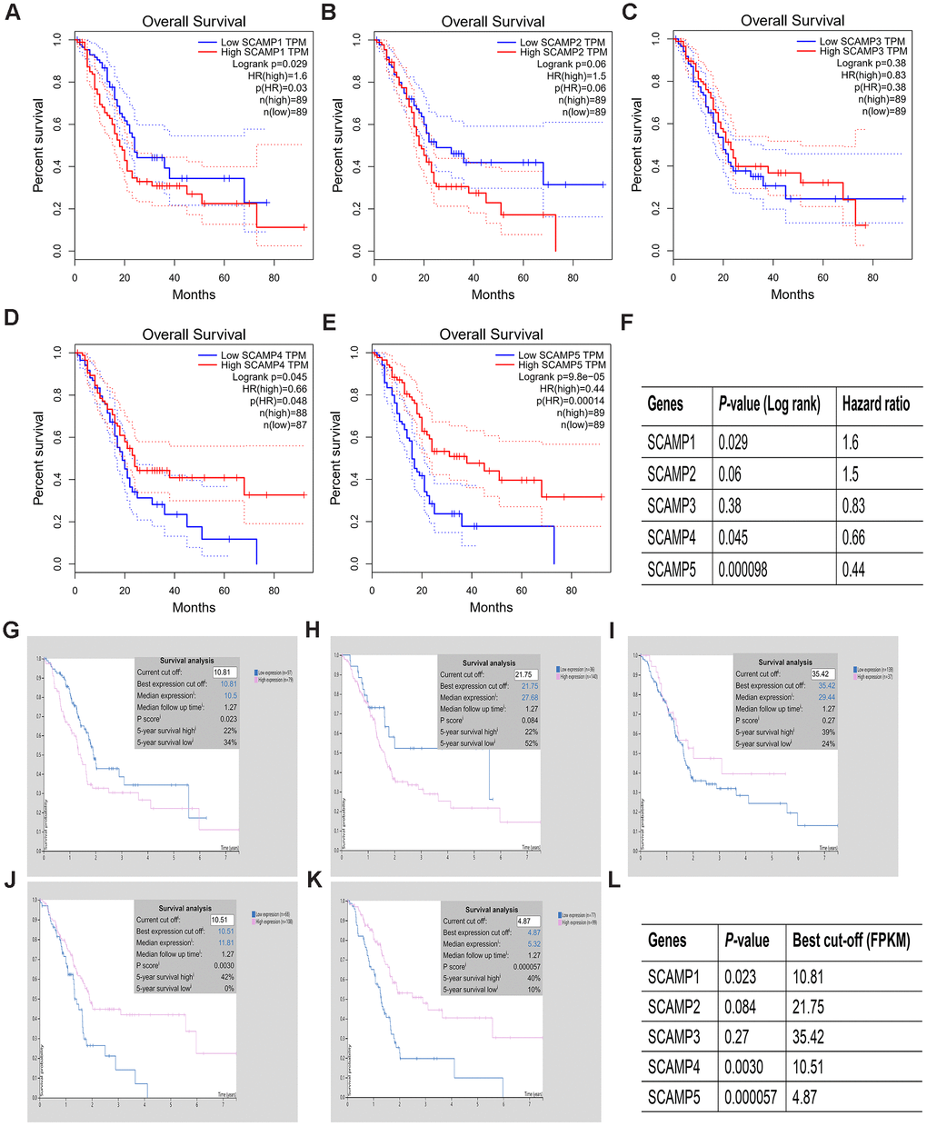Prognostic value of SCAMP expression in PAAD patients (HPA and GEPIA). (A–L). Prognostic value of SCAMP expression in PAAD patients according to GEPIA (A–F) and HPA (G–L) databases.