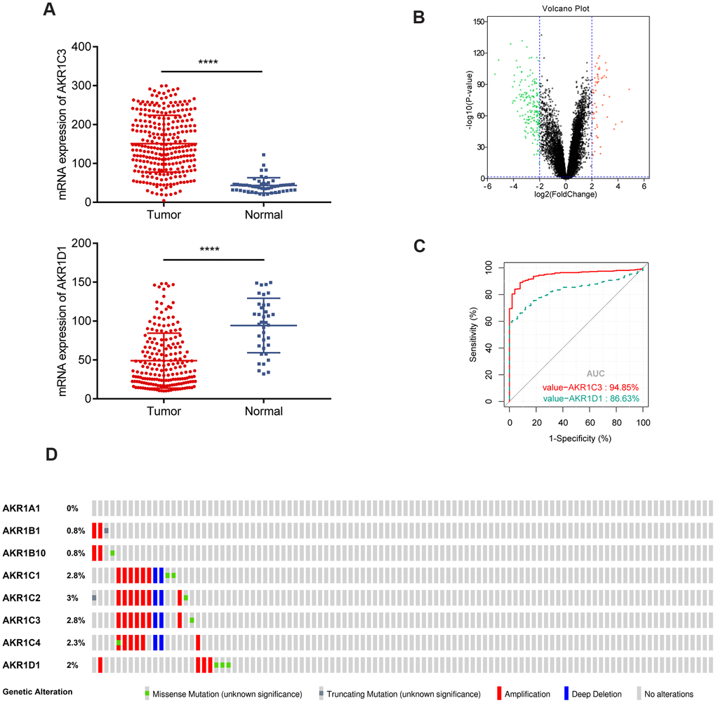 Gene expression of AKR1C3 and AKR1D1 in training and validation sets. (A) The mRNA expression of AKR1C3 and AKR1D1 in the training set. (B) The volcano plot of differential expressed genes in the validation set. (C) The receiver operating characteristic (ROC) curve of AKR1C3 and AKR1D1. (D) Genetic alteration information of the AKR1 gene family.