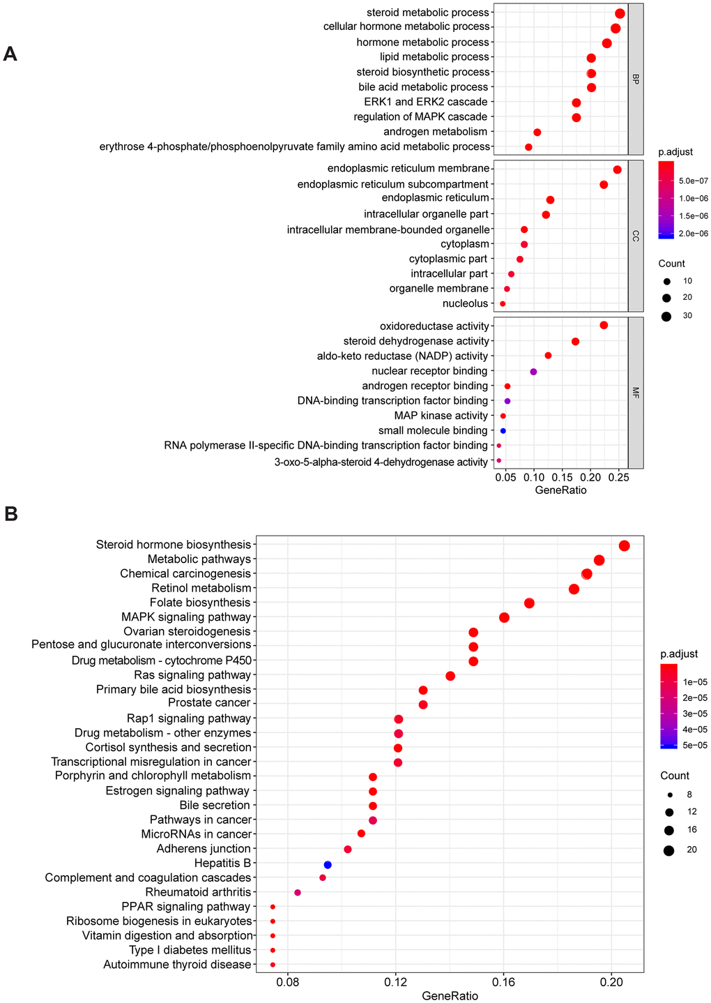 The GO and KEGG enrichment analysis. (A) The results of GO enrichment. (B) The results of KEGG enrichment.