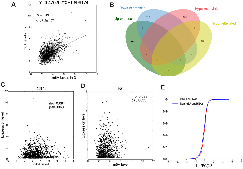 The association between lncRNA M6A methylation and expression. (A) The scatter plot shows the correlation of lncRNA M6A methylation between in CRC and NC. (B) Venn diagram showing the relationship between M6A modification and expression. (C, D) The scatter plot shows the correlation between lncRNA M6A methylation level and expression level in CRC and NC. (E) The lncRNA cumulative curve.