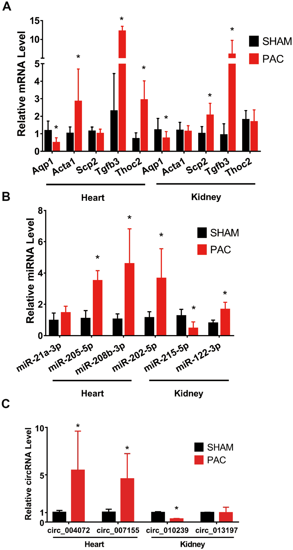 Validation of mRNAs and noncoding RNAs in the right ventricle and kidney. (A) qRT-PCR validation of selected mRNAs between the sham and PAC groups. (B) qRT-PCR validation of selected miRNAs between the sham and PAC groups. (C) Validation of circRNAs between the sham and PAC groups; n = 5 in each group. *P 
