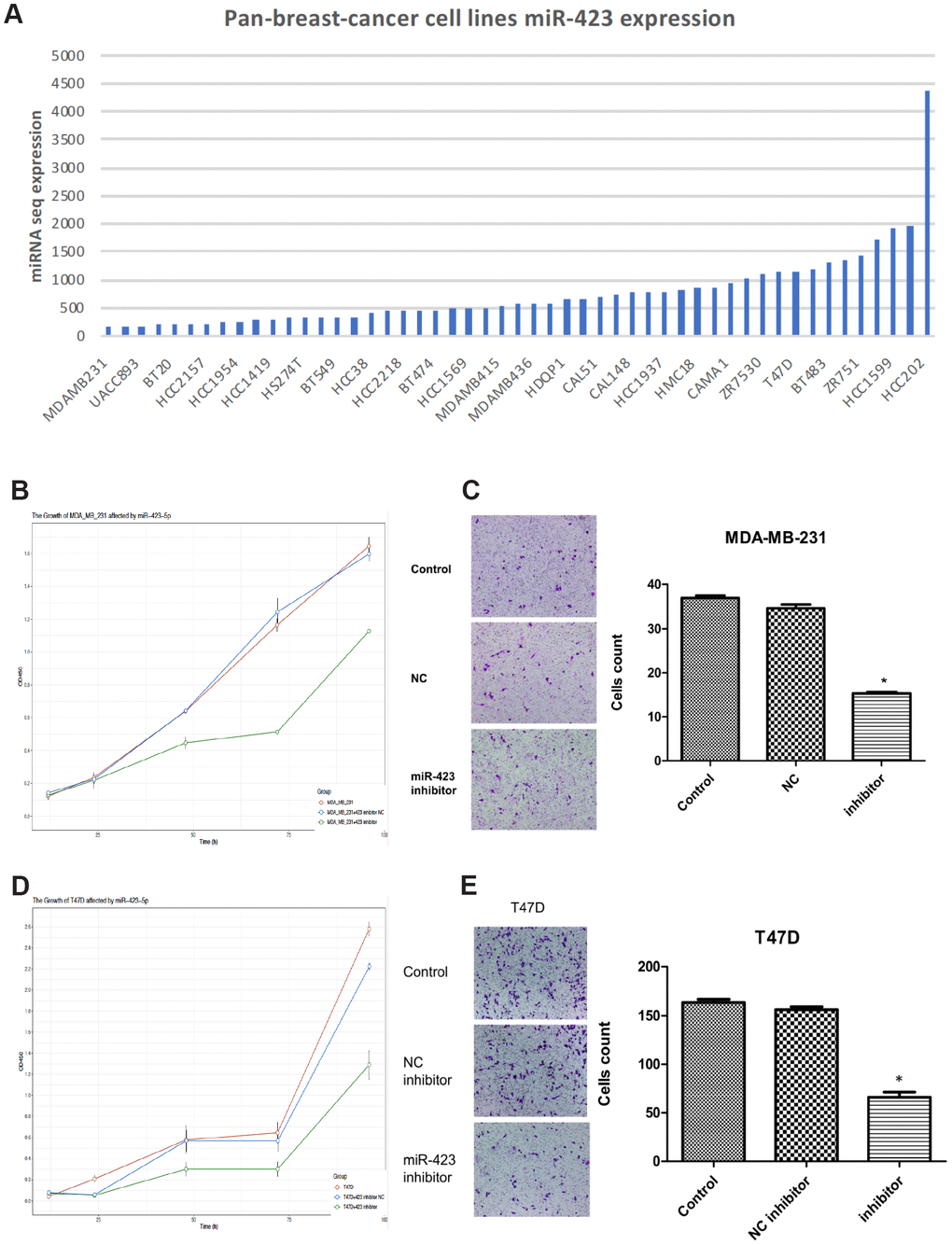 Inhibition of hsa-miR-423-5p impairs proliferation and invasion of breast cancer cells. (A) In board breast cancer cell lines, hsa-miR-423-5p expression was performed for the selection of cell model prior to in vitro studies. (B, D) Both MDA-MB-231 and T47D cells were treated with siRNA inhibitor or siNC for 96h, and cell proliferation was measured by CCK-8 assays. (C, E) For migration analysis, Transwell cell assay was performed in both MDA-MB-231 and T47D cells, and invasive cells were stained with crystal violet and counted under a microscope. *P 