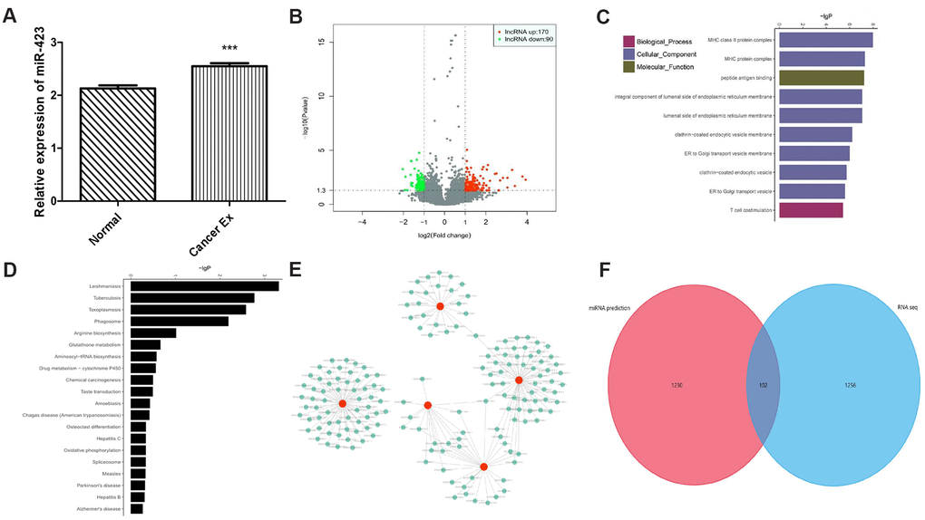 The exosomal transcriptome landscape of breast cancer. (A) The hsa-miR-423-5p expression level in breast cancer serum exosome is significantly elevated compared to those in serum from healthy female volunteers. (B) A total of 260 lncRNA and 110 mRNA transcripts are differentially expressed. (C) Top 10 GOs upregulated in breast cancer patients compared to controls. (D) Analysis of 20 enriched KEGG pathways between breast cancer patients and controls. (E) A total of 162 lncRNAs interact with 5 mRNAs (HLA-DPA1, HLA-DQA1, HLA-DRB1, HLA-DRB5, and KISS1R) between breast cancer patients and controls. (F) A total of 102 intersected genes of hsa-miR-423-5p predicted target mRNAs and differential expressed mRNAs in exosomes.