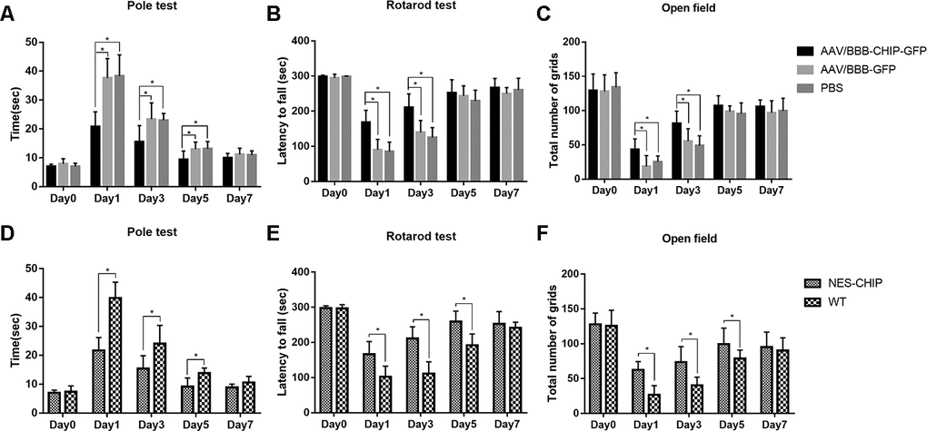 CHIP overexpression ameliorated MPTP-induced motor impairments in mice. Pole test, rotarod test and open field test were performed to evaluate motor function of each group. (A, D) Total time the mice used to climb from top of the pole. (B, E) Latency to fall in rotarod test after MPTP administration. (C, F) Number of grids the mice crossed in 5 minutes in the open field test. *P