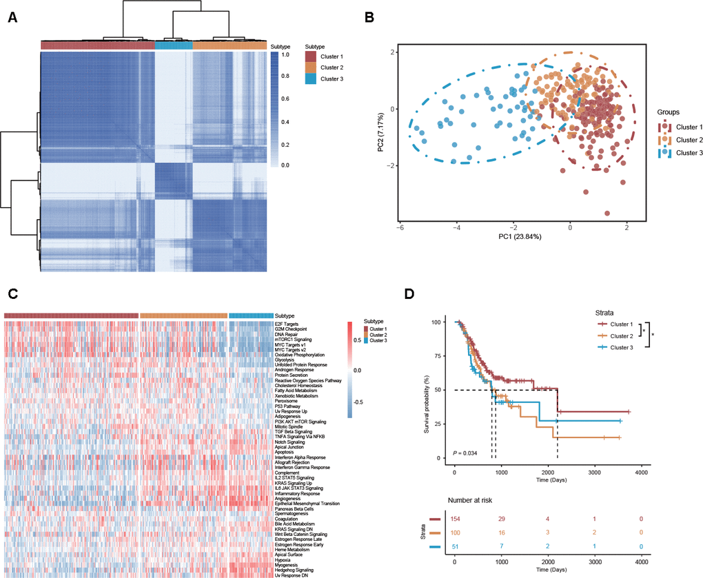 DEAS-based clusters associated with molecular characteristics, cancer-specific signatures and prognosis. (A) Consensus clustering analysis of 3 defined clusters was visualized in a matrix heatmap. (B) PCA of 3 distinct clusters is shown in scatter plots. (C) GSVA of cancer-specific signatures between DEAS-based clusters is shown in a cluster heatmap. (D) Kaplan-Meier survival analysis of patients within 3 distinct clusters of OS.