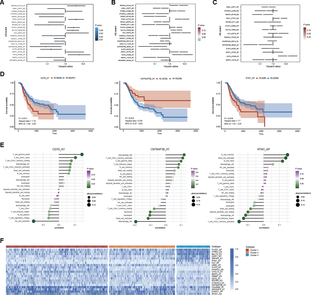 Prognostic value of DEAS events in GC. (A) Univariate analysis of DEAS events associated with OS is shown in forest plots of hazard ratios. (B) Univariate analysis of DEAS events associated with OS after adjusting for relative clinical covariates is shown in forest plots of hazard ratios. (C) Multivariate analysis of DEAS events associated with OS is shown in forest plots of hazard ratios. (D) Kaplan-Meier survival analysis of the independent prognostic DEAS events on OS. (E) Correlation analysis of the independent prognostic DEAS events and immune cells. (F) Differential expression of representative prognostic DEAS events between distinct clusters was visualized in a matrix heatmap.