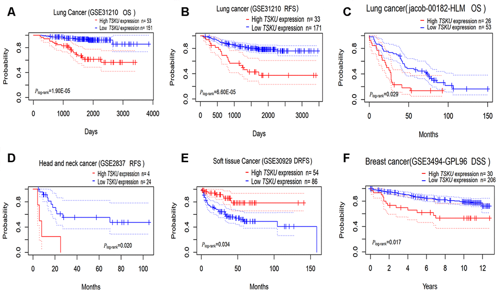 Kaplan-Meier survival curves comparing high and low TSKU expression levels in different tumors via PrognoScan. (A, B) Survival curves of OS and RFS in the lung cancer cohort (GSE31210, N =204); (C) Survival curves of OS in the lung cancer cohort (jacob-00182-HLM, N = 79); (D) Survival curves of RFS in the head and neck cancer cohort (GSE2837, N = 28); (E) Survival curves of DRFS in the soft tissue cancer cohort (GSE30929, N = 140); (F) Survival curves of DSS in the breast cancer cohort (GSE3494-GPL96, N = 236) OS, overall survival; DSS, disease Specific Survival; RFS, relapse-free survival; DRFS, distant recurrence-free survival.