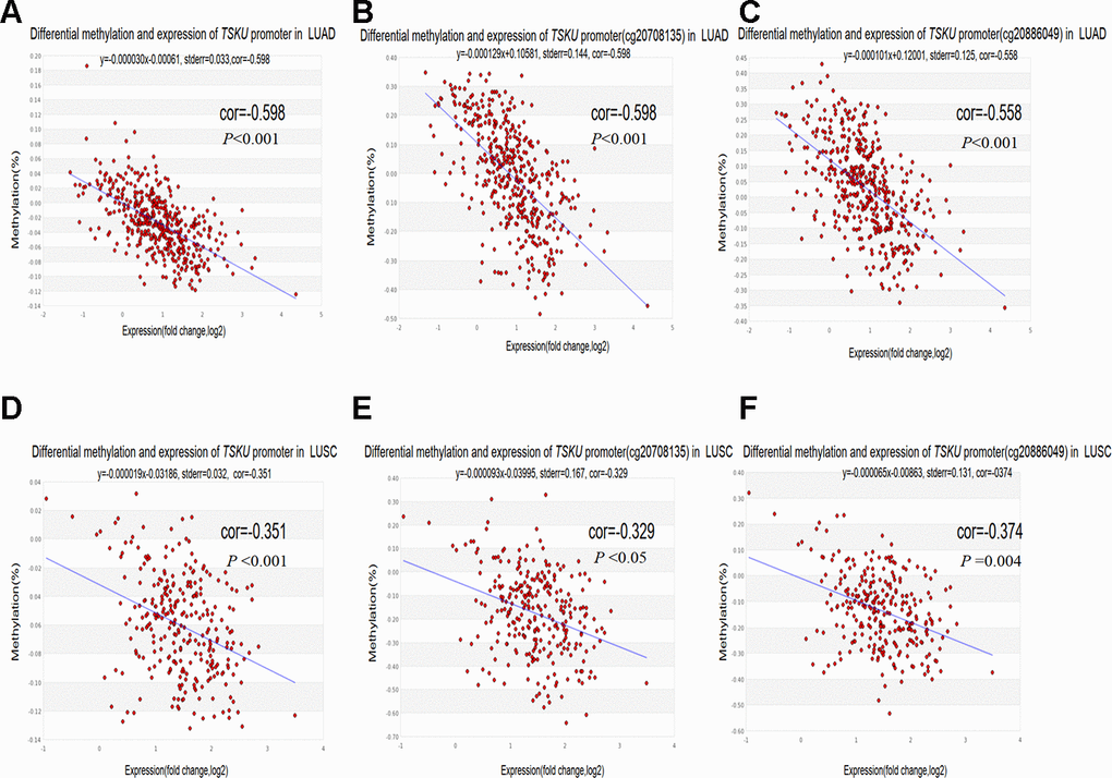 Correlations between differential TSKU methylation and expression in LUAD and LUSC. TCGA Infinium 450K methylation probes in the promoter region, including the cg20708175 and cg20886049 probes; (A–C) Scatterplots of correlations between differential TSKU methylation and expression level of all CpG sites (probes) in the promoter (A), cg20708175 (B), and cg20886049 (C) in LUAD (N = 471). (D–F) Scatterplots of correlations between differential TSKU methylation and expression level of all CpG sites (probes) in the promoter (D), cg20708175 (E), and cg20886049 (F) in LUSC (N = 406). Cor(r): the value determined by calculating the Pearson correlation coefficient.