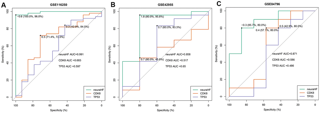 Plot showing AUC verification results. (A) AUC verification results in the GSE116250 dataset. (B) AUC verification results in the GSE42955 dataset. (C) AUC verification results in the GSE84796 dataset. The points marked on the ROC curve are the optimal threshold points, and the values in parentheses represent sensitivity and specificity. The AUC value is the area under the ROC curve.