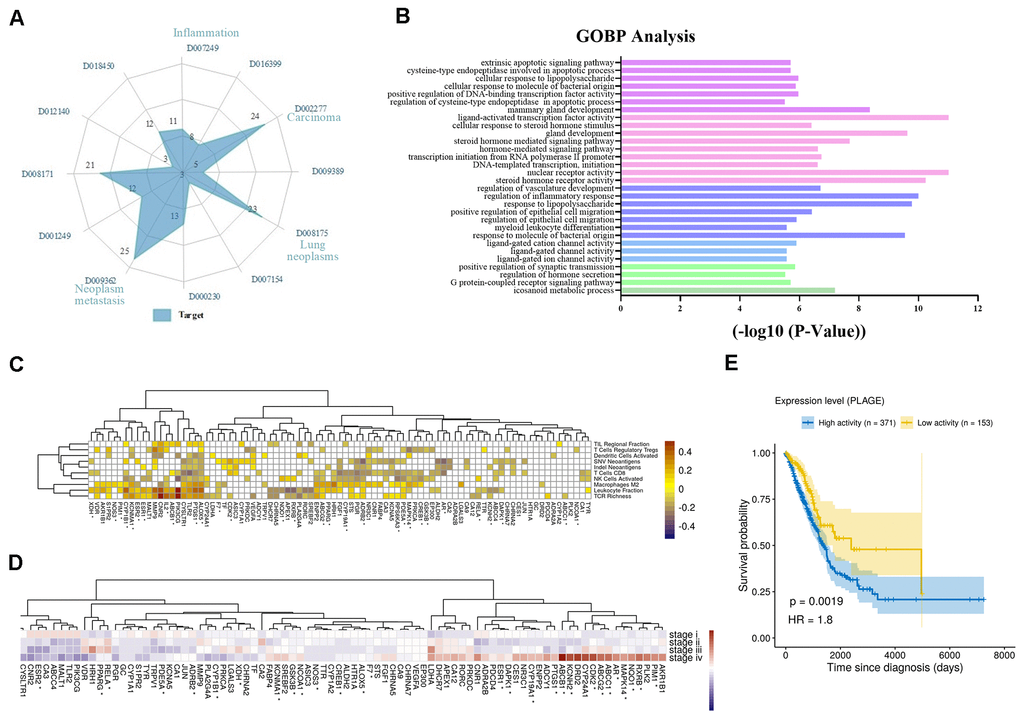 Analysis of multi-target of polypharmacology molecules of Epimedium treatment of NSCLC. (A) In an equi-angular spokes radar chart, each spoke represents a class of diseases, and the length of the spokes is the distribution data, which is proportional to the quantity of target proteins relative to the homologous disease. (B) The y-axis shows significantly enriched ‘Biological Process’ categories in GO of the target genes, and the x-axis shows the enrichment scores of these terms (P-value C) The heatmap of Pearson correlation coefficients (PCCs) between gene expression level of Epimedium targets and immune phenotypes. The Benjamini-Hochberg (BH) adjusted p-values of PCCs D) Average expression of Epimedium targets among clinical staging (stages I–IV) in TCGA LUDA patients. For each gene, the expression was normalized by z-score transformation. Note that the genes labeled with an asterisk represents the targets for ICT. (E) Prognostic value of the Epimedium targets for overall survival of human LUAD patients comparing high and low activity. X-axis shows time for survival (days) and y-axis shows the probability of survival, where 1.0 corresponds to 100 percent.