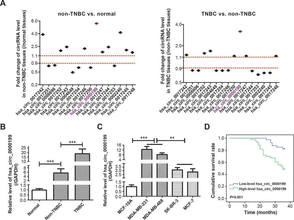 Clinical value of circRNA AKT3 in triple-negative breast cancer (TNBC). (A) Fold change of AKT3-derived circRNAs were determined in BC tissues of other subtypes (i.e. non-TNBC) as relative to normal tissues, and also in TNBC tissues as relative to BC tissues of other subtypes. (B) Hsa