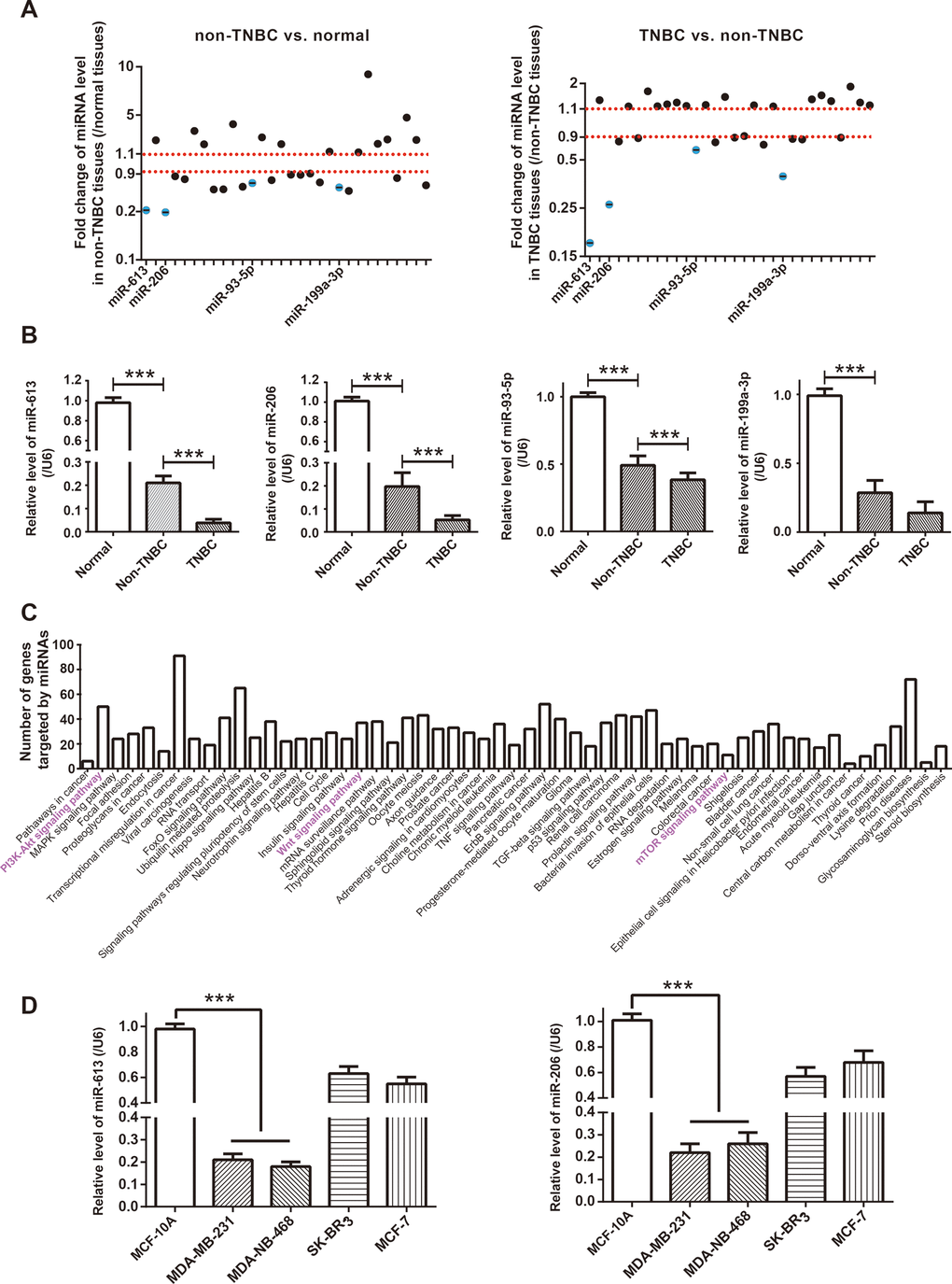 Identification of miRNA network of circRNA AKT3 in triple-negative breast cancer (TNBC). (A) Fold change of miRNAs, potentially sponged by significant AKT3-derived circRNAs, were determined in BC tissues of other subtypes (i.e. non-TNBC) as relative to normal tissues, as well as in TNBC tissues as relative to BC tissues of other subtypes. (B) Expressions of miR-613, miR-206, miR-93-5p and miR-199a-3p were determined in normal tissues, TNBC tissues and BC tissues of other subtypes (i.e. non-TNBC). ***: PC) KEGG pathways enriched by genes targeted by miR-613, miR-206, miR-93-5p and miR-199a-3p were drawn from miRPath online tool (http://snf-515788.vm.okeanos.grnet.gr/). (D) MiR-613 and miR-206 expressions were compared among MCF-10A, MDA-MB-231, MDA-MB-468, SK-BR-3 and MCF-7 cell lines. ***: P