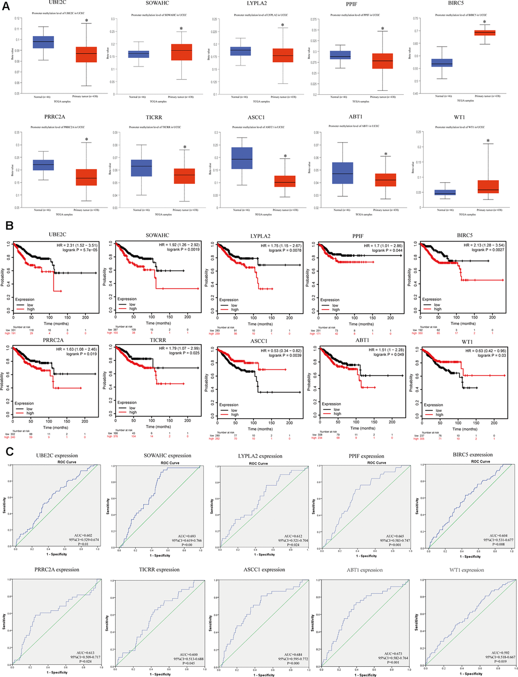 Methylation status and survival analysis of the hub genes. (A) Gene methylation status of ten hub genes were validated in TCGA database. *p B) Univariate survival analysis of the hub genes using the Kaplan-Meier curve. (C) Receiver operating characteristic (ROC) curve analysis and area under the curve (AUC) statistics was applied to evaluate the capacity of real hub genes to predict overall survival of patients.