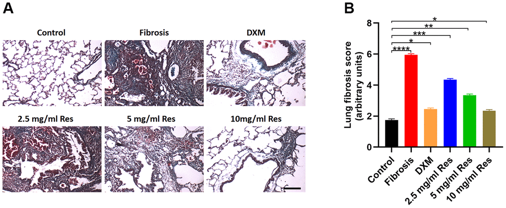 Histological analysis reveals the beneficial role of resveratrol on pulmonary fibrosis. (A) Masson’s trichrome staining of lung samples in different groups on day 28 post operation (scale bar = 200 μm). (B) Lung fibrosis scores in the four groups (n = 6 in each group). *p p p p 