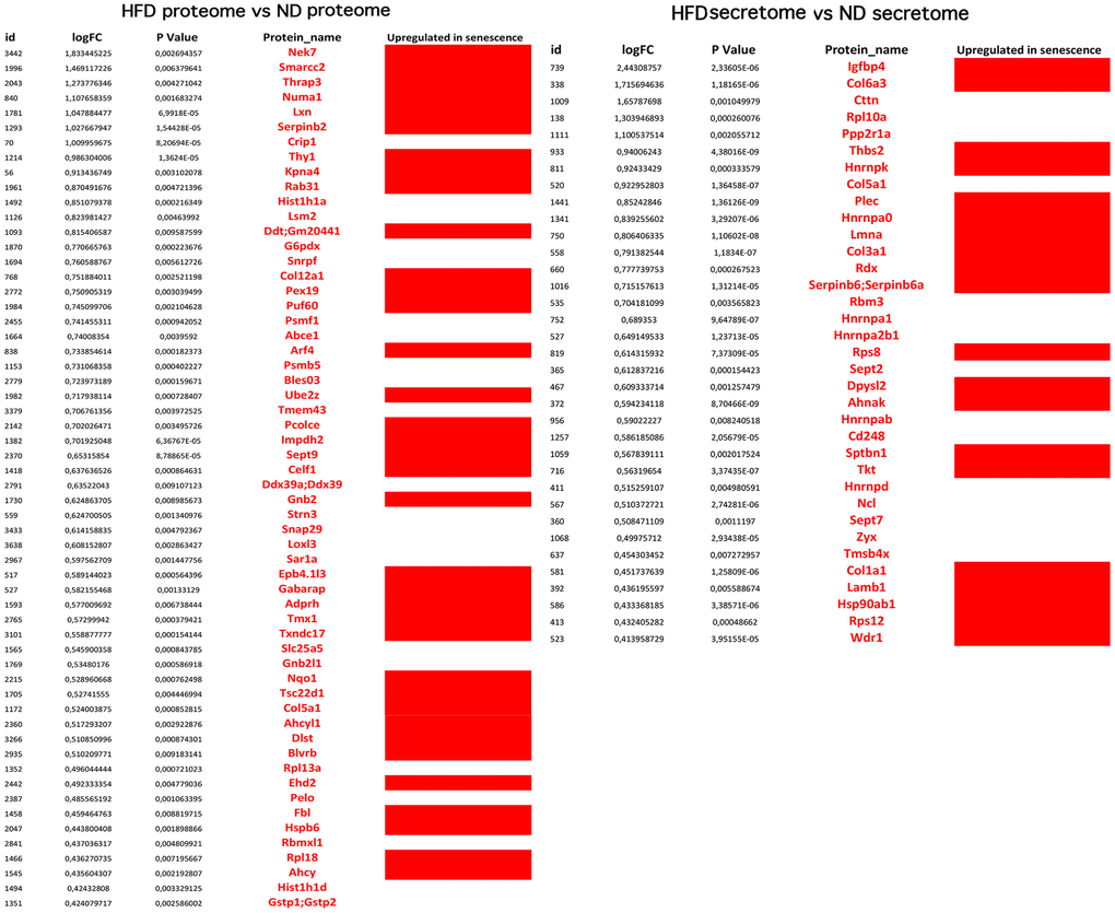 Overexpressed proteins in HFD-MSCs associated with senescence. The picture shows the overexpressed (in red) and downregulated (in black) proteins in the proteomes and secretomes of HFD-MSCs compared to ND-MSCs. The differences in expression are expressed as LogFC. The column “Upregulated in senescence” indicates the proteins for which expression is upregulated in senescent cells, according to SeneQuest (https://senequest.net) and PubMed (https://pubmed.ncbi.nlm.nih.gov).