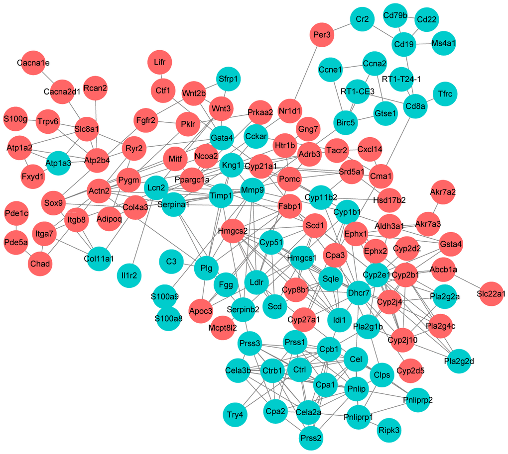 Protein-protein interaction network construction. Each node represents one differentially expressed protein. Each edge represents regulation. Red, up-regulated expressed protein; green, down-regulated expressed protein.