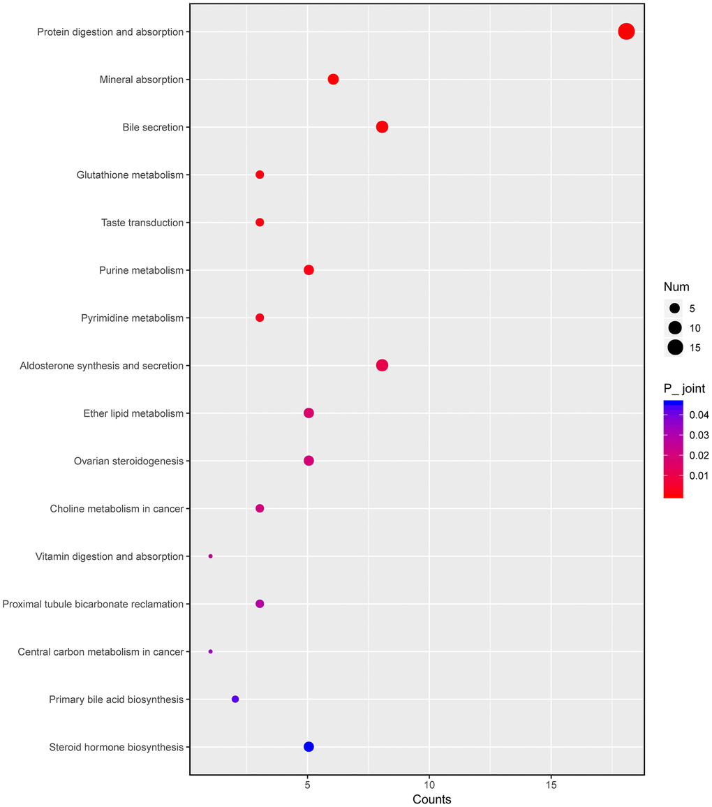 Integrated altered metabolic pathways in HKL treated UC rats according to our transcriptomic and metabolomics data. The bubble graph represents the enriched DEGs. The column represents enriched counts; the row represents enriched pathway. Each bubble represents one individual pathway. Different colors represent significance P value.